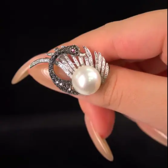 黑天鵝之舞 • 神秘高貴