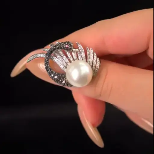 黑天鵝之舞 • 神秘高貴